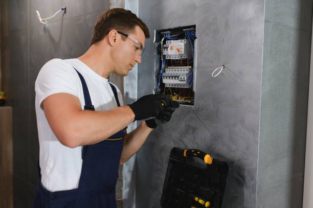 Best Electrical Upgrades for Homes  in Warren, IL