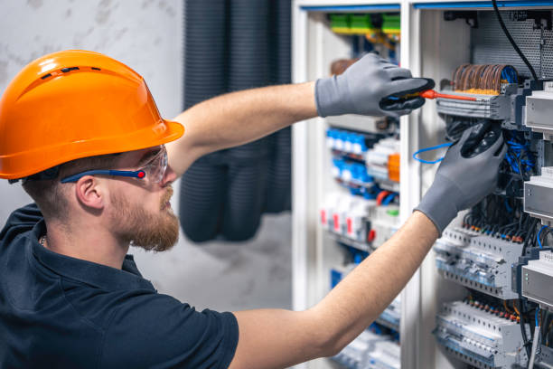 Best Residential Electrician Services  in Warren, IL
